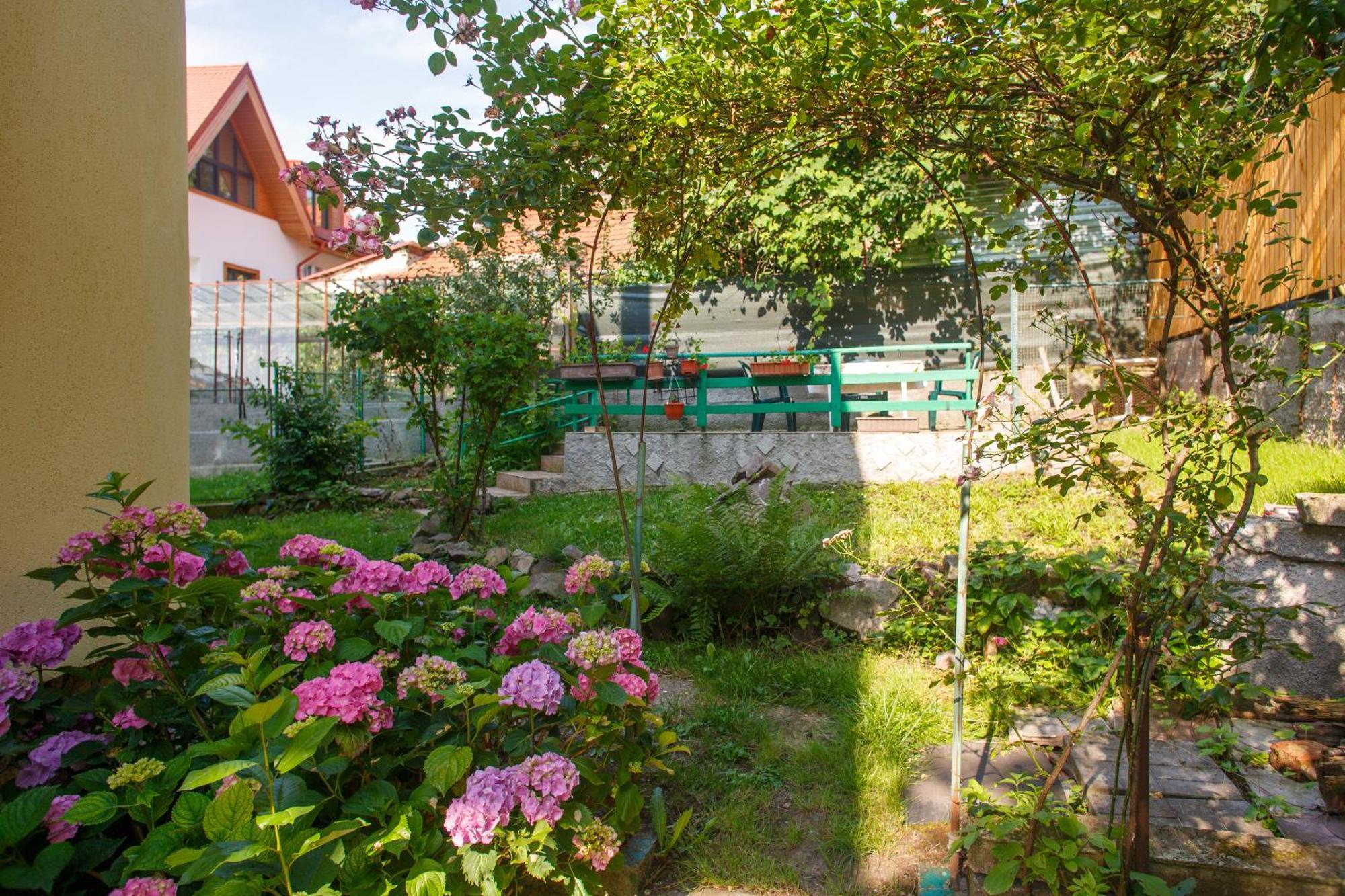 Barok Appart Braşov Exteriör bild